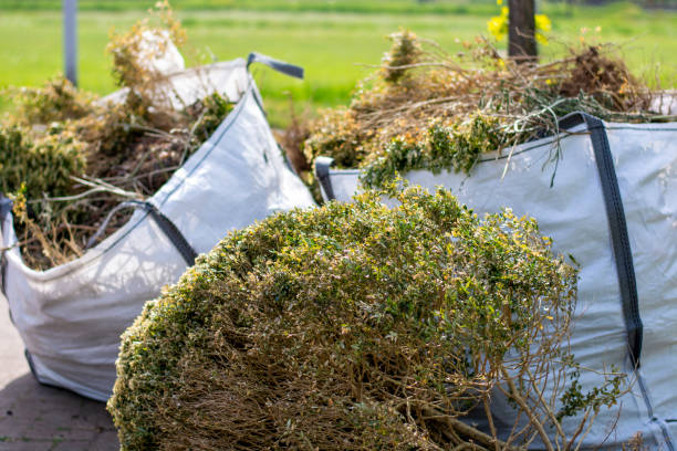 Best Electronics Removal Services  in Taft Heights, CA